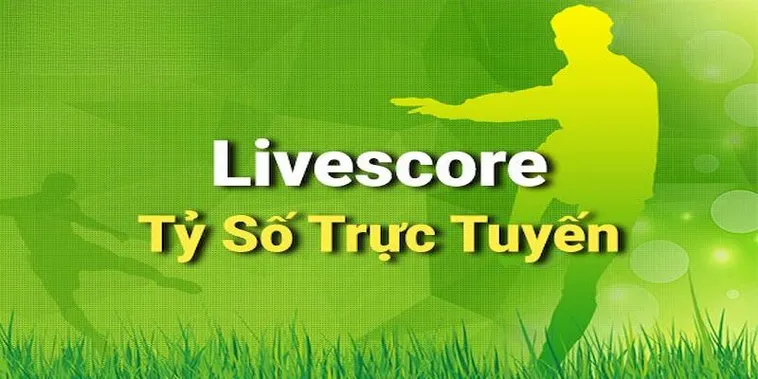 Theo Dõi Tỷ Số Bóng Đá Trực Tuyến Chính Xác Và Nhanh Nhất Hiện Nay