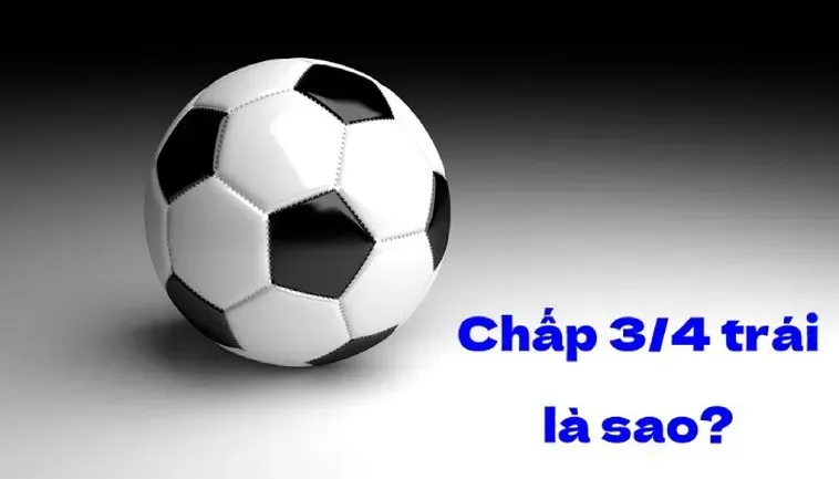 Kèo Chấp 0.75 Chiến Thuật Đặt Cược Thông Minh Cho Người Chơi Chuyên Nghiệp