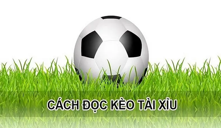 Chiến Lược Đánh Kèo Tài Xỉu Đỉnh Cao Giúp Người Chơi Thắng Lớn Mỗi Ngày