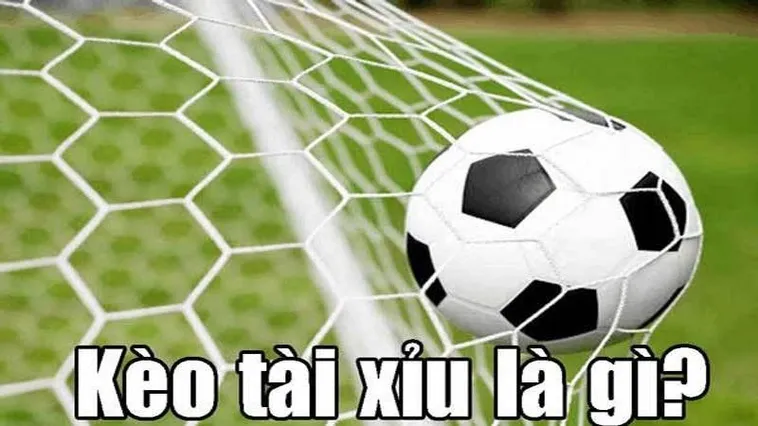 Hướng Dẫn Soi Kèo Tài Xỉu Bóng Đá Hiệu Quả Và Chuẩn Xác Nhất